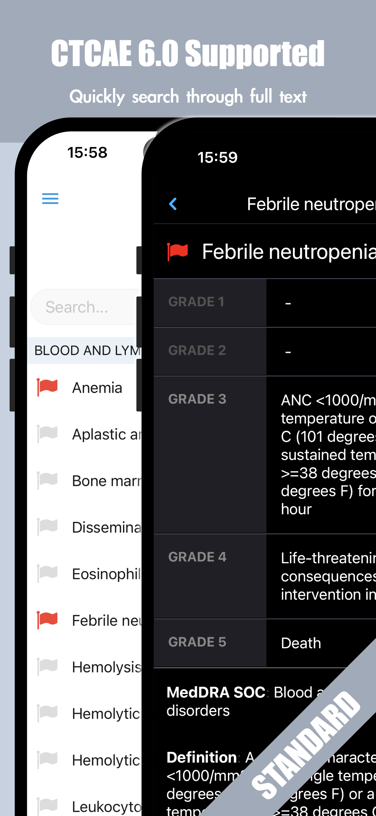 Search Suggestions